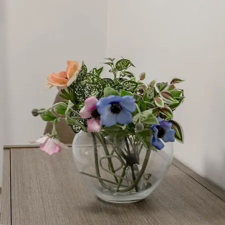 H11 M Town 119 - Centro Apartment Sanremo